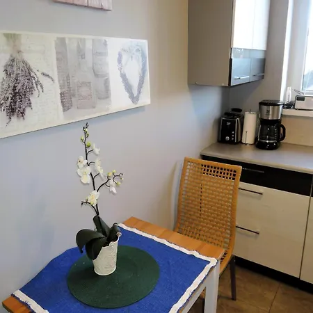 In Mi Dzyzdroje Near Baltic Sea Apartament Międzyzdroje