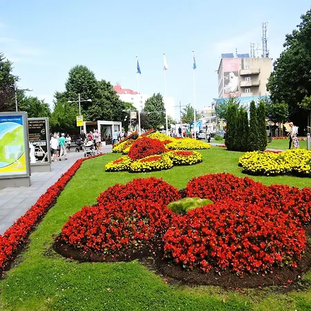 In Mi Dzyzdroje Near Baltic Sea *